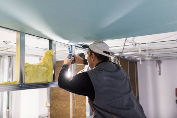 Best Insulation Materials and Products in Danbury, TX