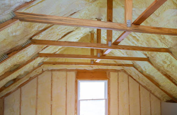 Best Specialty Insulation in Danbury, TX