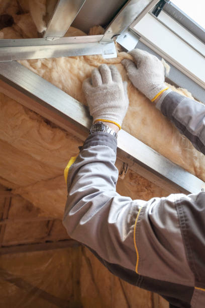 Best Commercial Insulation in Danbury, TX