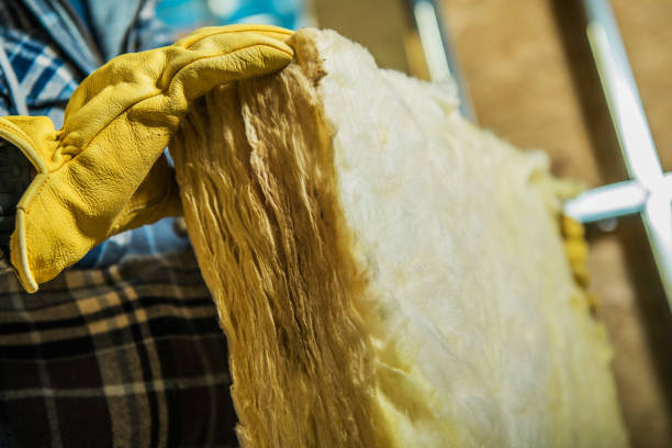 Best Insulation Maintenance and Repair in Danbury, TX